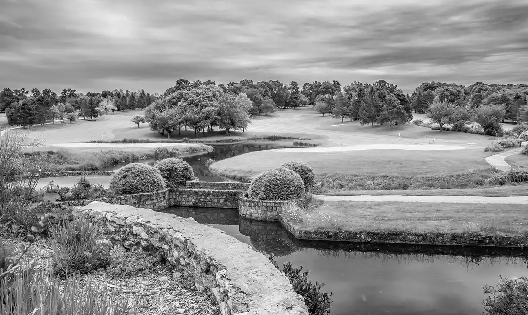 Credit Linked Notes: Everything You Need To Know card image