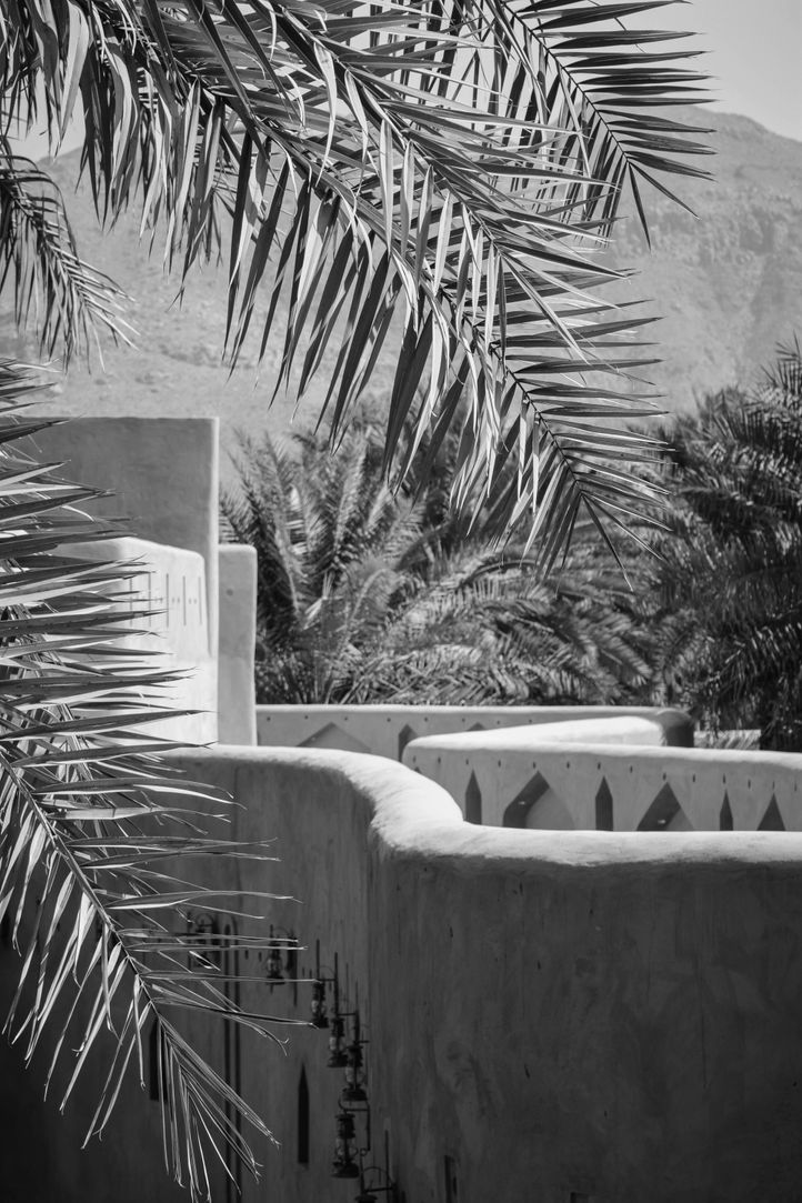 Do You Need a UAE Will? Expat Estate Planning Explained insight featuredImage